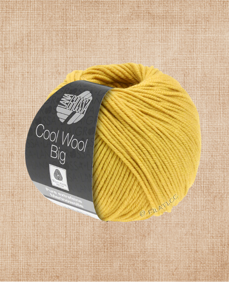 Lana Grossa Cool Wool Big