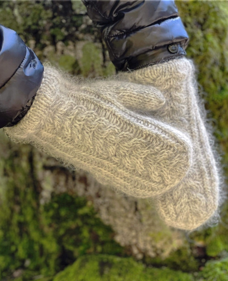 Twin Mittens