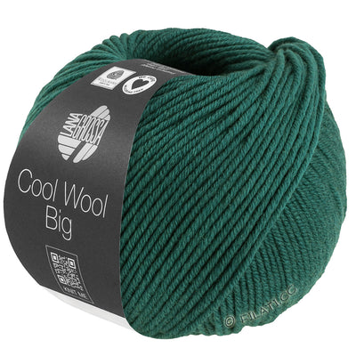 Lana Grossa Cool Wool Big